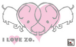 Ilovezo.jpg